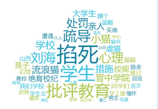 校园网红猫被学生掐死,高校回应暴露管理缺失