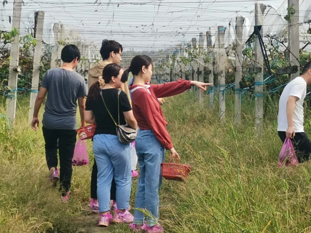 未来由你,博约启航 | 公海贵宾会官网2025年团队招募令